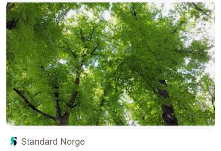 Kurs i bruk av Norsk Standard for verdivurdering av trær – NS 3846